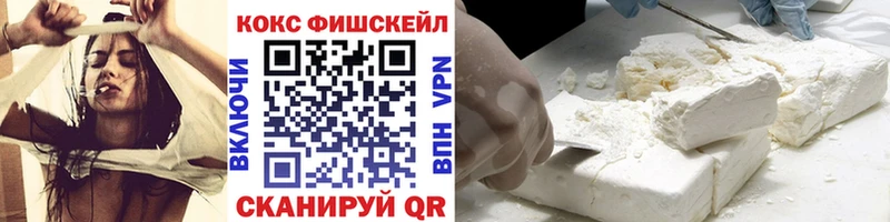 Cocaine Fish Scale  ОМГ ОМГ маркетплейс  Вичуга 