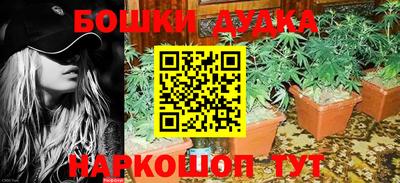 бошки Бийск