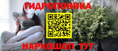 бошки Бийск