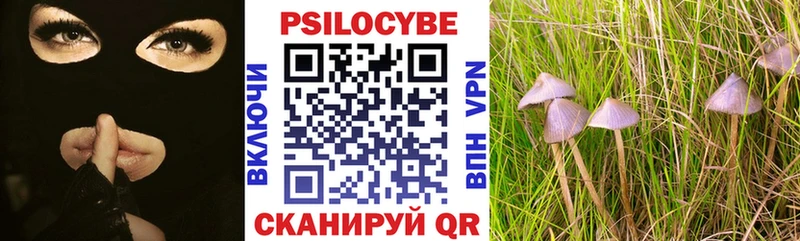 Галлюциногенные грибы мицелий  дарнет шоп  Вичуга 