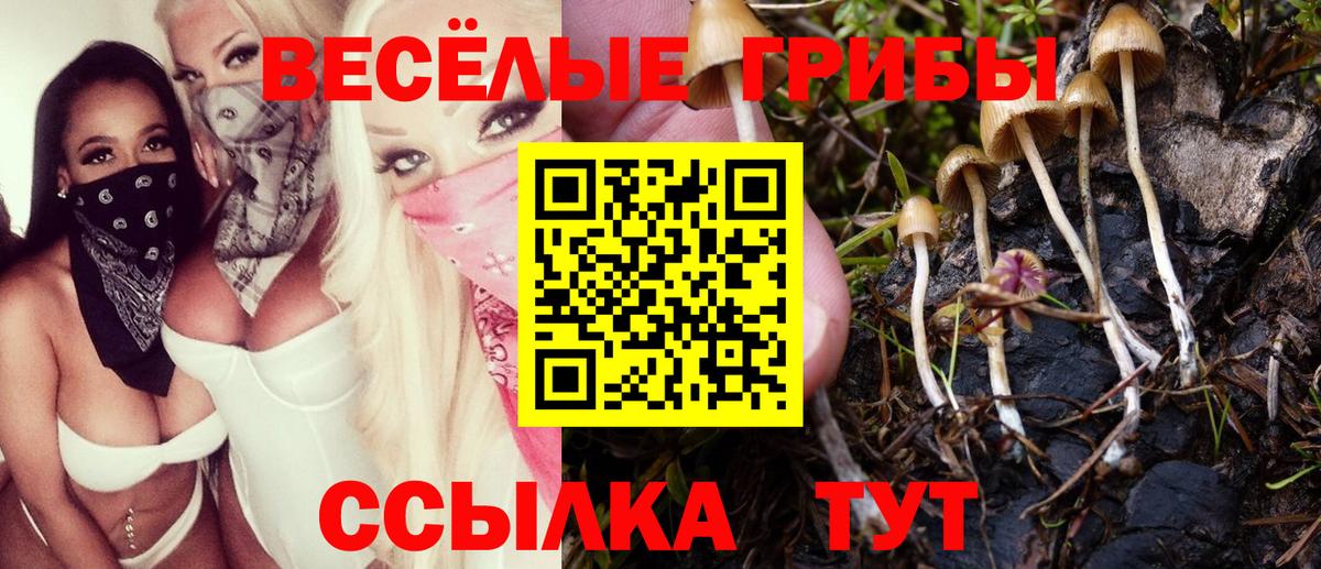 Псилоцибиновые грибы Cubensis  Галлюциногенные грибы GOLDEN TEACHER  Вичуга 