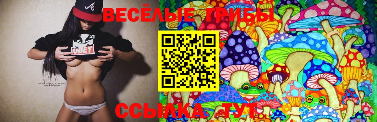 Галлюциногенные грибы Psilocybine cubensis  Псилоцибиновые грибы мухоморы  Вичуга  Вход с VPN 