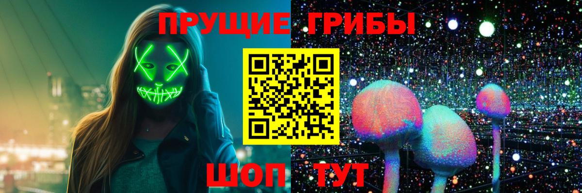 Псилоцибиновые грибы Cubensis Вичуга