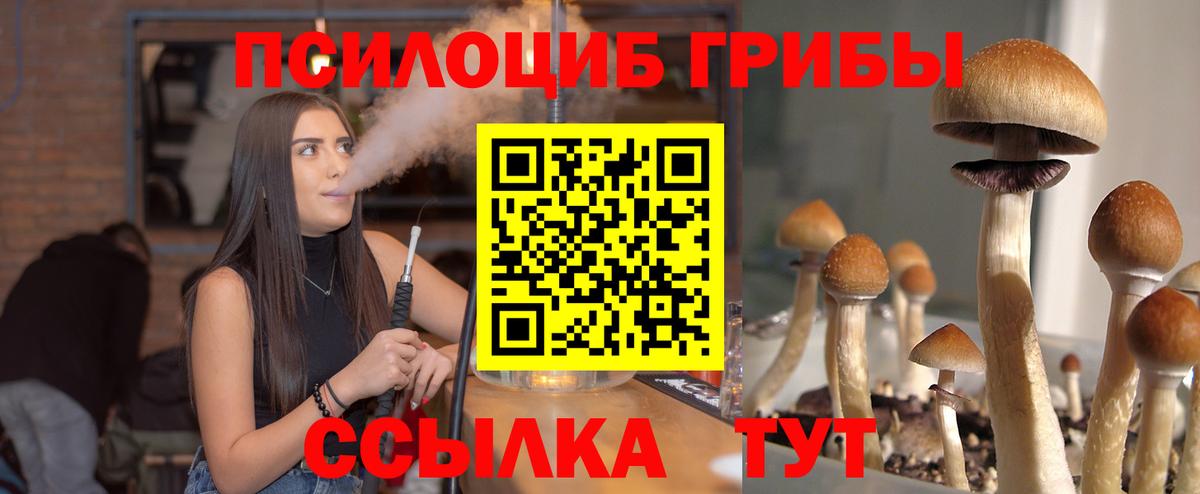 ЭКСТАЗИ  Вход с VPN  Мефедрон кристаллы  ГАШ  Конопля  Вичуга  Кокаин 